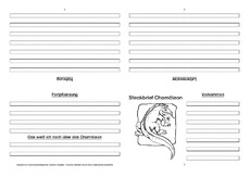 Chamäleon-Faltbuch-vierseitig-3.pdf